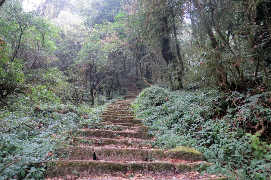 Shivapuri Hiking