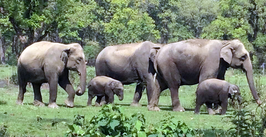 Family Adventure & Nature Tour