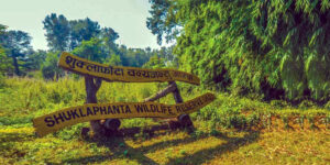Over 2,600 Tourists Visit Shuklaphanta National Park in Six Months